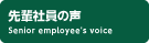 先輩社員の声